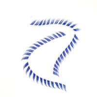 مژه ی روباهی روسی ابی