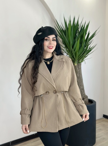 بارونی همتا