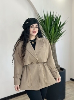 بارونی همتا