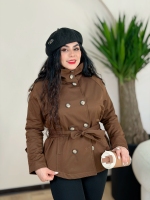 بارونی آیسل